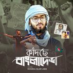 Kadche Bangladesh