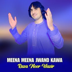 MEENA MEENA JWAND KAWA-STIcQVlFZGo