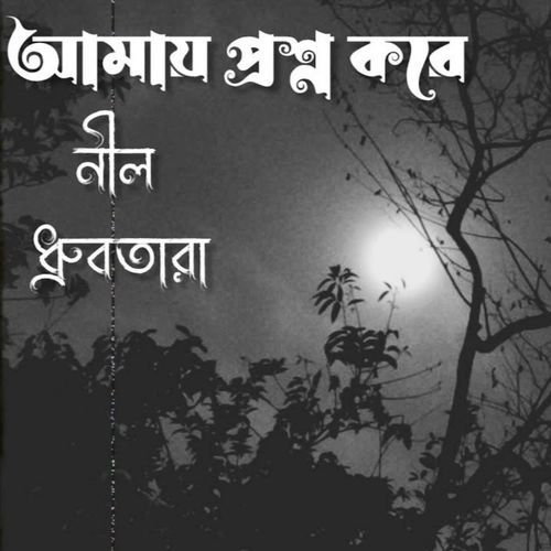 আমায় প্রশ্ন করে নীল ধ্রুবতারা