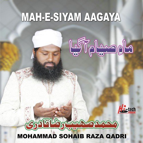 Mohammad Sohaib Raza Qadri