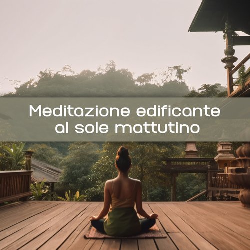 Meditazione zen cover art