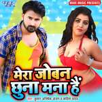 Mera Joban Chhuna Mana Hain