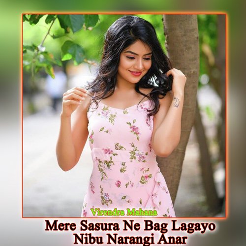 Mere Sasura Ne Bag Lagayo Nibu Narangi Anar