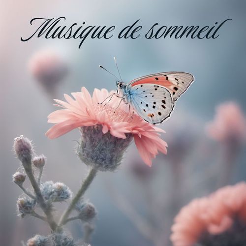 Papillons de rêves