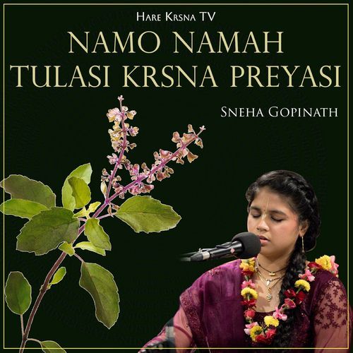 Namo Namah Tulasi Krsna Preyasi