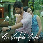 Nee Venakale Nadichi artwork