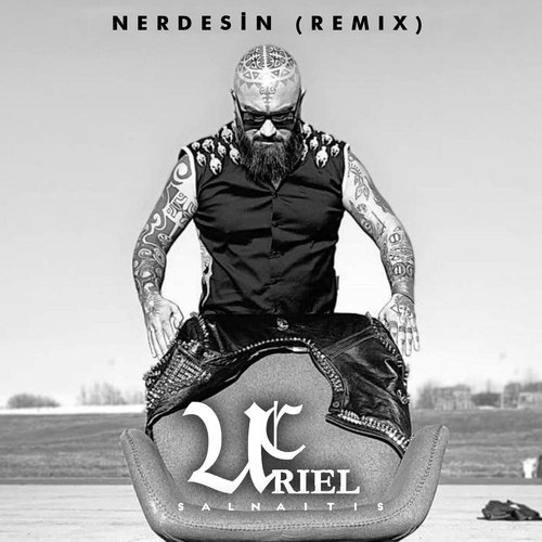 Nerdesin (Remix)_poster_image