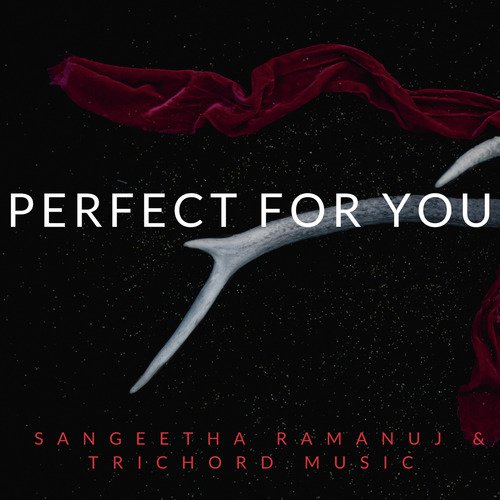 Perfect for You_poster_image