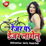 Ranger Pe Danger Lageli (Bhojpuri Song)