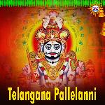 Telangana Pallelanni