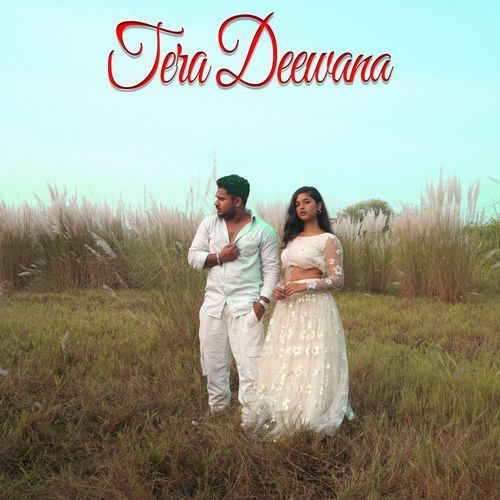 Tera Deewana