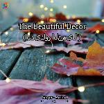 The Beautiful Decor