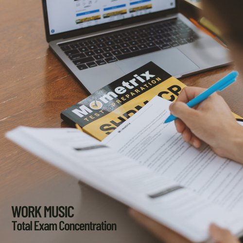 Work Music: Total Exam Concentration, Study Tranquility_poster_image