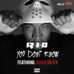 You Don't Know (feat. Royce da 5'9)