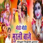 meethi meethi Murali baje re