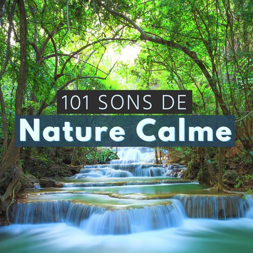 Oasis de méditation cover art