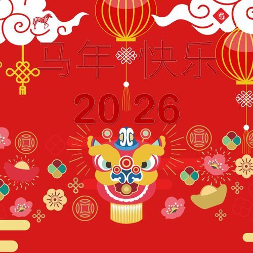 新年不要马马虎虎 cover art