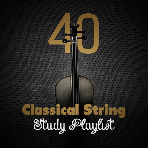 String Trio in B-Flat Major, D. 581: IV. Rondo. Allegretto