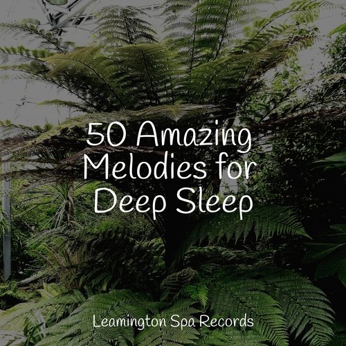 50 Amazing Melodies for Deep Sleep_poster_image