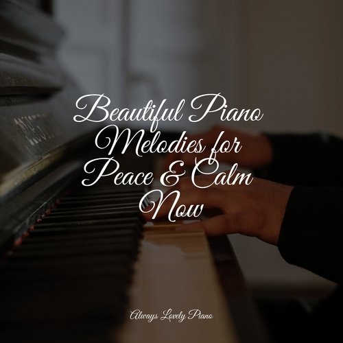 Beautiful Piano Melodies for Peace & Calm Now