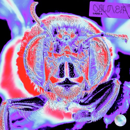 The Purge cover art