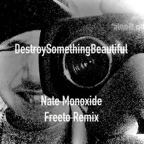 DestroySomethingBeautiful (Remix)