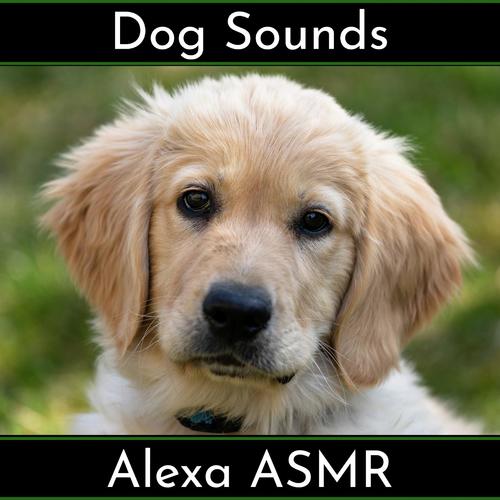 Dog Sounds_poster_image