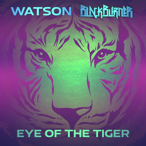 Eye Of The Tiger_poster_image