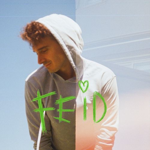 FEID cover art