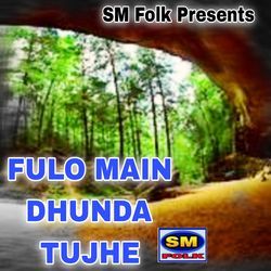 FULO MAIN DHUNDA TUJHE-P1ENdhtVR1A