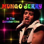 In The Summertime (Re-Recorded / Remastered)