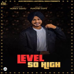 Level So High-GiQMXhV6WQI