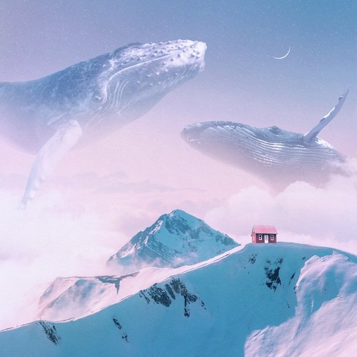 Paperland cover art