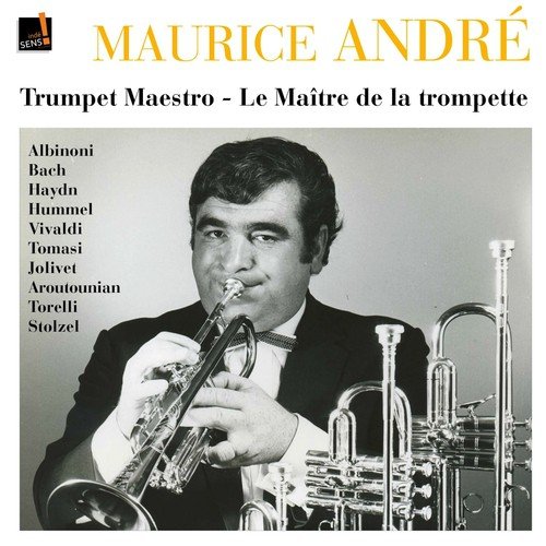 Trumpet Concerto No. 2: II. Grave