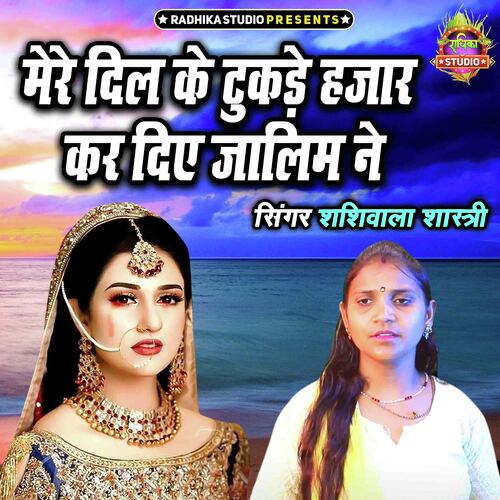 Mere Dil Ke Tukade Hazaar Kar Diye Zalim Ne