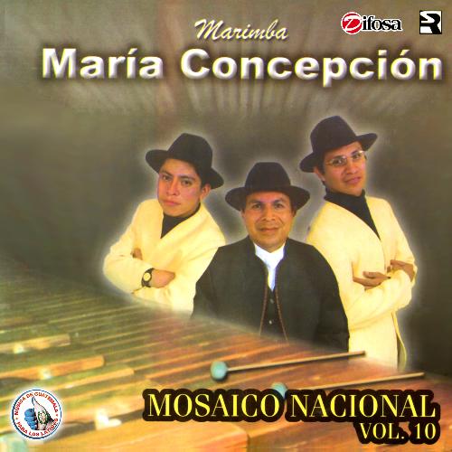 Mix Cumbias 1: Santa Cruz Comitancillo / Concepción Tutuapa / Bailando con la Llorona / La Pulga Mixqueña cover art