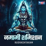 Namaami Shamishaan - Rudrashtakam