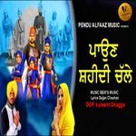 Paauna Shahidi Challe