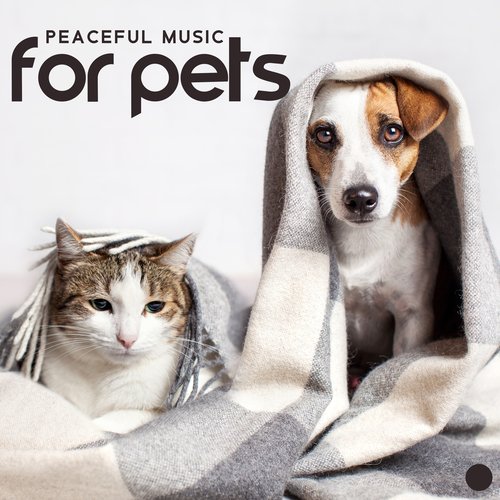 Pet Care Club cover art