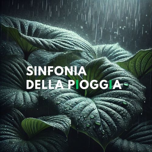 Sinfonia della pioggia: Giornata di consapevolezza dello stress con i suoni della pioggia_poster_image