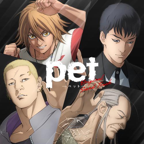 Image_____ (Anime Version) Lyrics - TV Anime pet (Soundtrack