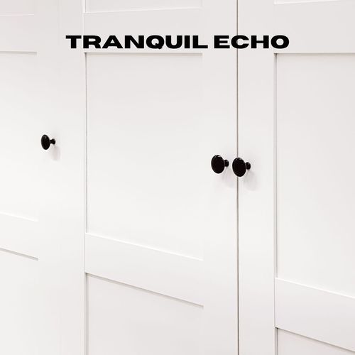 Tranquil Echo_poster_image