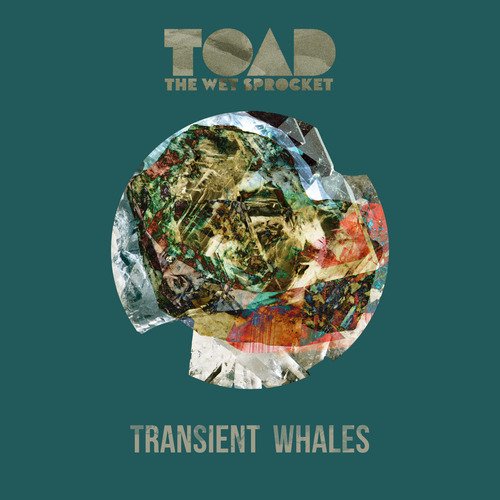 Transient Whales_poster_image