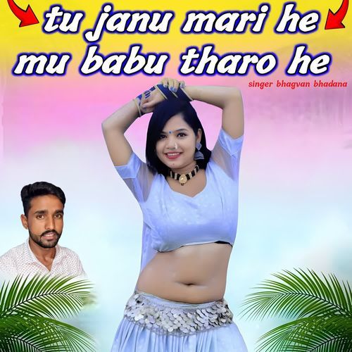 Tu Janu Mari He Mu Babu Tharo He