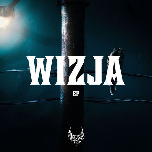 WIZJA