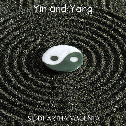 Taijiquan cover art