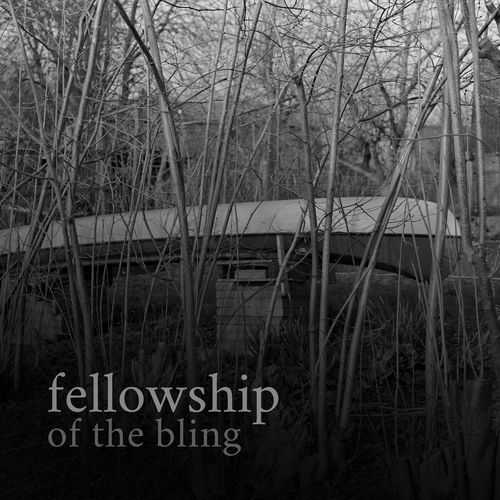 fellowship of the bling