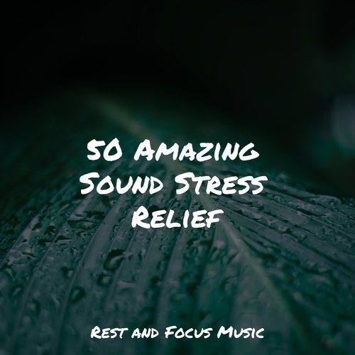 Nature's Piano cover art