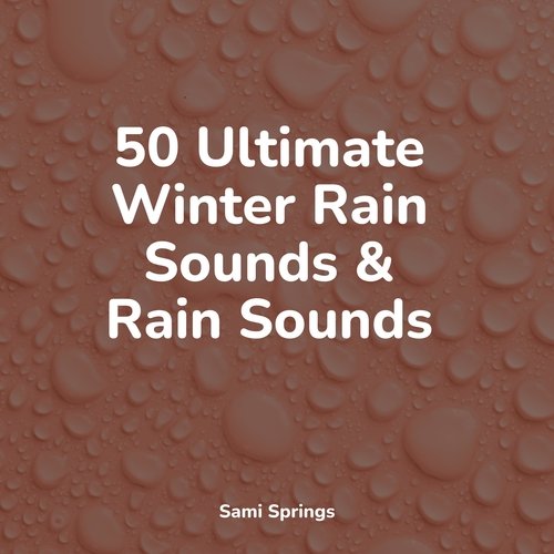 50 Ultimate Winter Rain Sounds &amp; Rain Sounds_poster_image