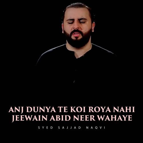 Anj Dunya Te Koi Roya Nahi Jeewain Abid Neer Wahaye